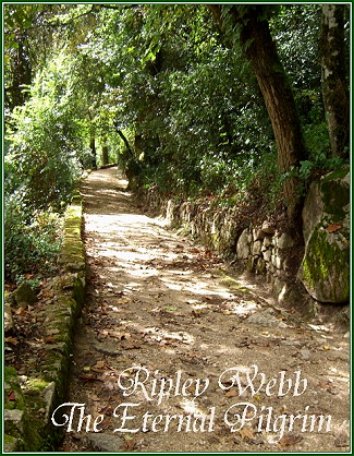Ripley Webb The Eternal Pilgrim