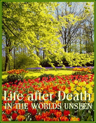 Life after Death in the Worlds Unseen